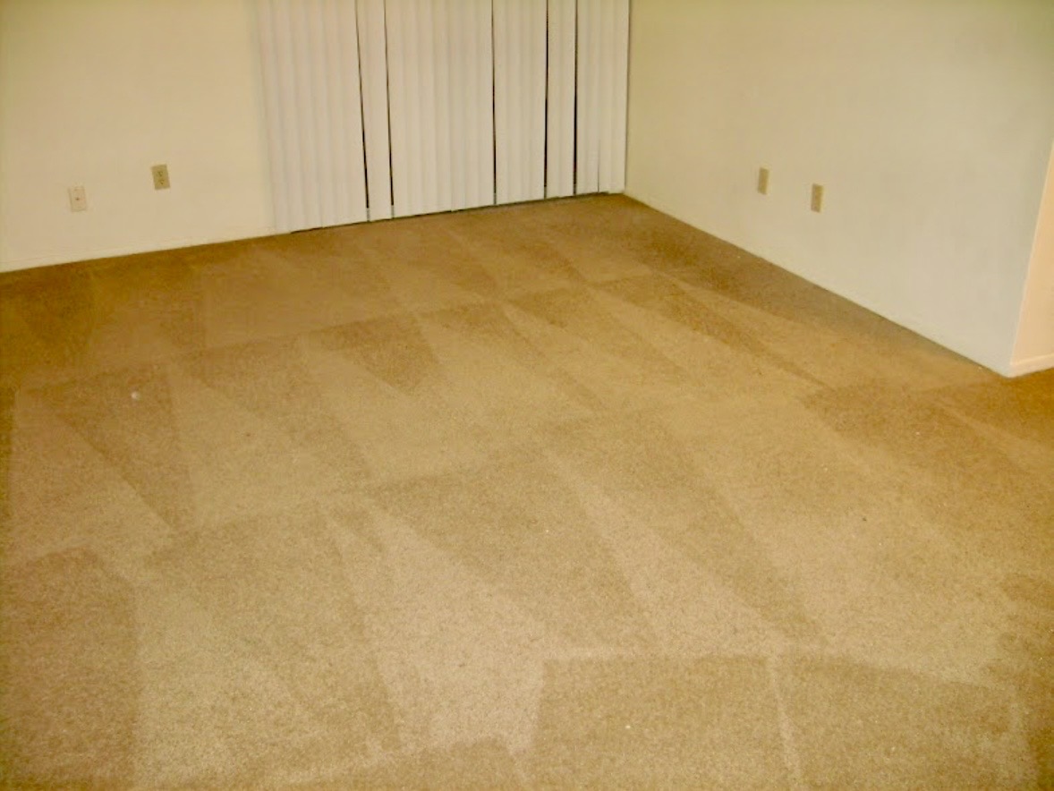 After carpet cleaning showing brighter refreshed carpet