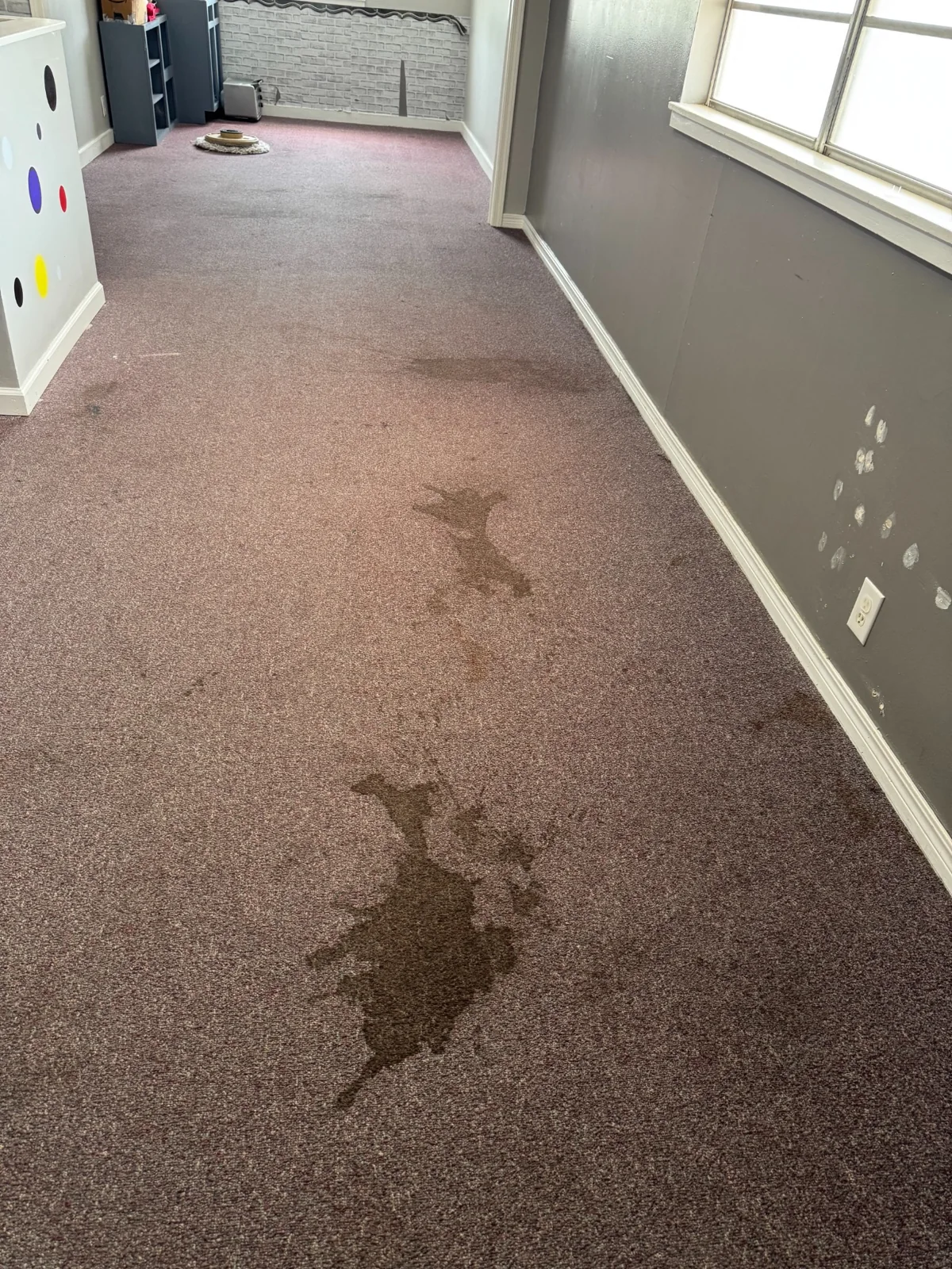 Large room carpet before commercial spot and traffic-area cleaning