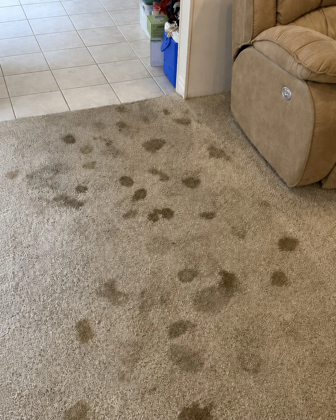 Carpet before severe spot and traffic-area cleaning
